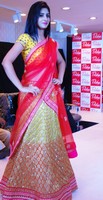 Showcasing Scintillating Grand Fashion Show Photos